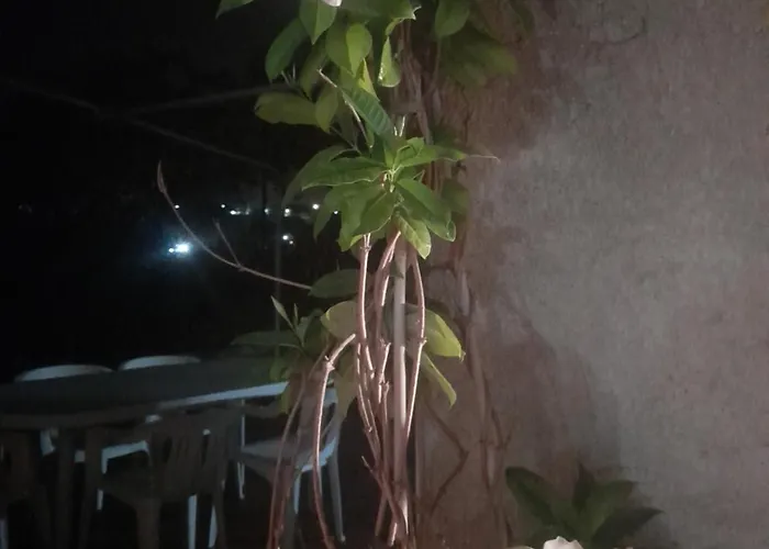 公寓 Casa Celeste 圣尼科拉阿尔切拉